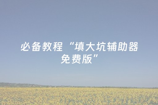 必备教程“填大坑辅助器免费版”（辅助器通用版)