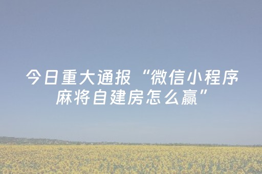 今日重大通报“微信小程序麻将自建房怎么赢”（怎么控制输赢)