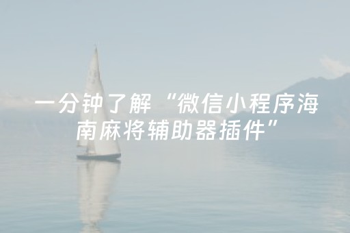 一分钟了解“微信小程序海南麻将辅助器插件”（开挂辅助脚本)