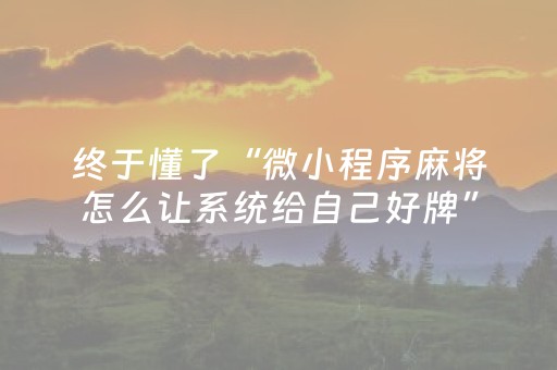 终于懂了“微小程序麻将怎么让系统给自己好牌”（万能开挂器)