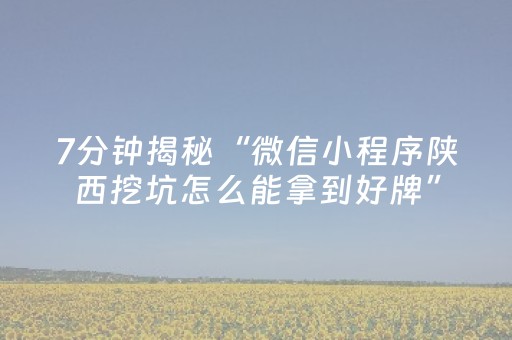 7分钟揭秘“微信小程序陕西挖坑怎么能拿到好牌”（助赢神器)
