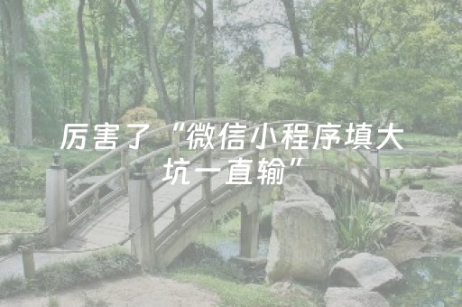 厉害了“微信小程序填大坑一直输”（挂件神器)