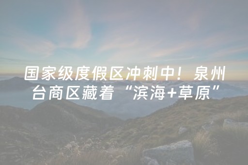 国家级度假区冲刺中！泉州台商区藏着“滨海+草原”双重惊喜，速来打卡