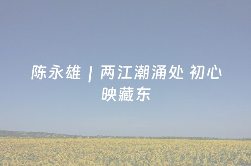 陈永雄｜两江潮涌处 初心映藏东