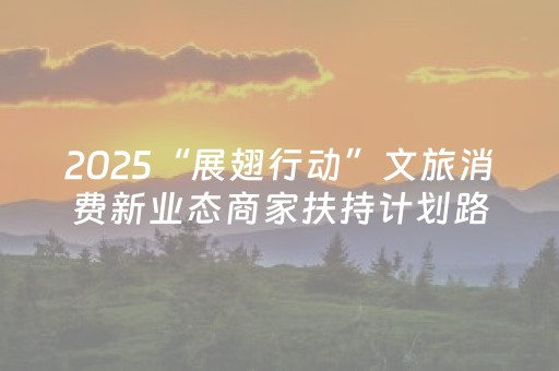 2025“展翅行动”文旅消费新业态商家扶持计划路演举行