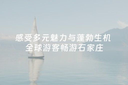 感受多元魅力与蓬勃生机 全球游客畅游石家庄