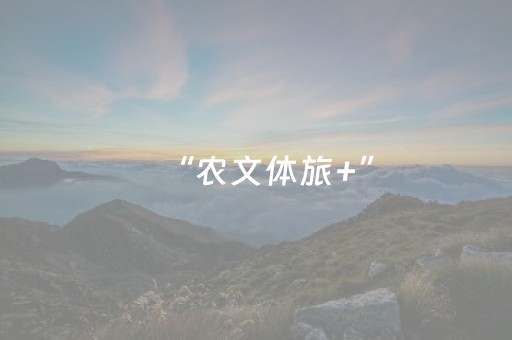 “农文体旅+”，如何解锁更多可能？