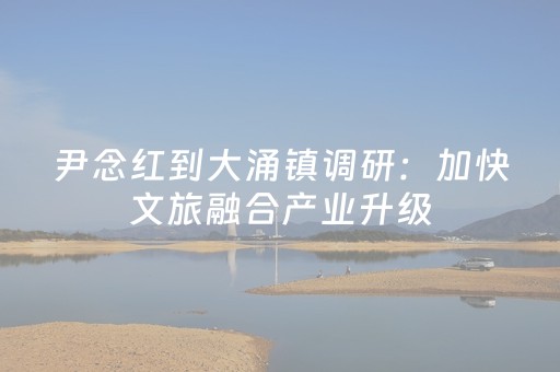 尹念红到大涌镇调研：加快文旅融合产业升级，更高质量推进“百千万工程”