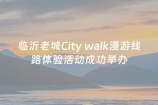 临沂老城City walk漫游线路体验活动成功举办