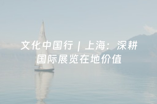 文化中国行｜上海：深耕国际展览在地价值