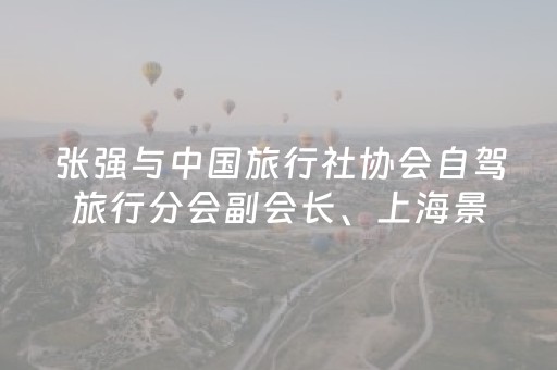 张强与中国旅行社协会自驾旅行分会副会长、上海景域集团高级副总裁国庆华举行工作会谈