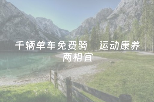 千辆单车免费骑　运动康养两相宜