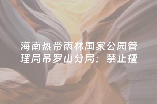 海南热带雨林国家公园管理局吊罗山分局：禁止擅入核心保护区