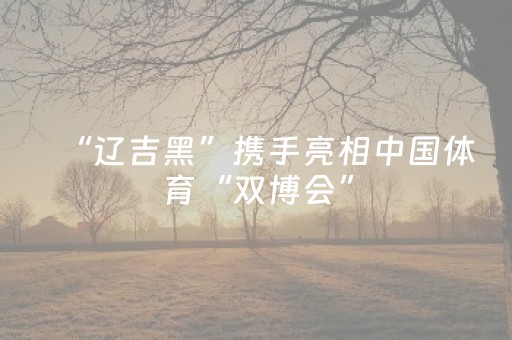 “辽吉黑”携手亮相中国体育“双博会”