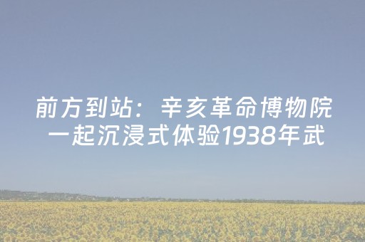 前方到站：辛亥革命博物院 一起沉浸式体验1938年武汉保卫战！