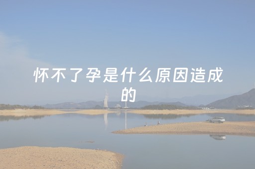 怀不了孕是什么原因造成的（女性不孕七项检查费用）