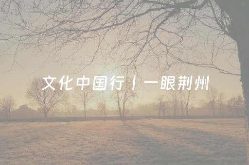 文化中国行丨一眼荆州，楚韵千年