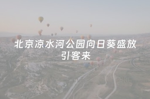 暑期水上旅游“热”力全开