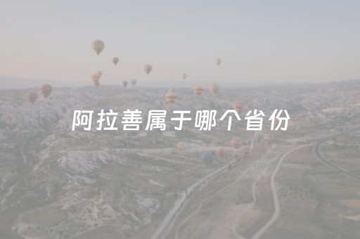 阿拉善属于哪个省份（阿拉善属于哪个市）
