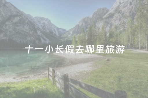 十一小长假去哪里旅游（十一小长假去哪里玩最好）