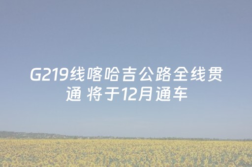 G219线喀哈吉公路全线贯通 将于12月通车
