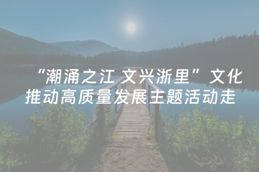 “潮涌之江 文兴浙里”文化推动高质量发展主题活动走进金华双龙