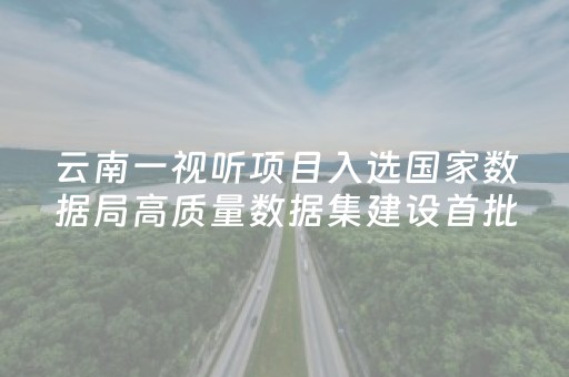 云南一视听项目入选国家数据局高质量数据集建设首批试点名单
