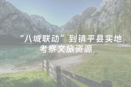“八城联动”到镇平县实地考察文旅资源
