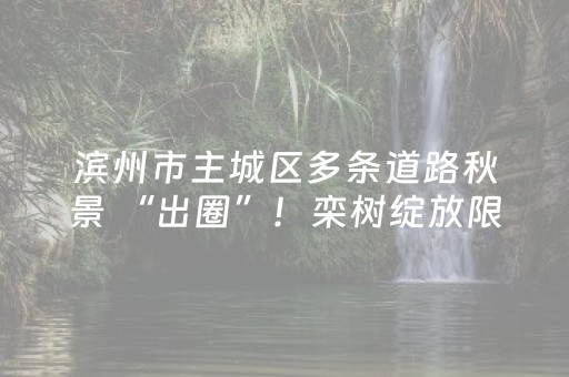 “潮涌之江 文兴浙里”文化推动高质量发展主题活动走进金华双龙