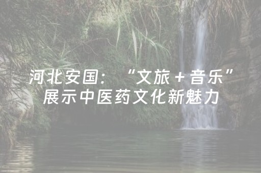 河北安国：“文旅＋音乐”展示中医药文化新魅力