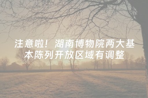 注意啦！湖南博物院两大基本陈列开放区域有调整