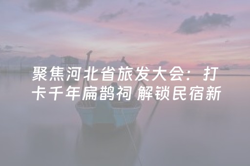 聚焦河北省旅发大会：打卡千年扁鹊祠 解锁民宿新体验
