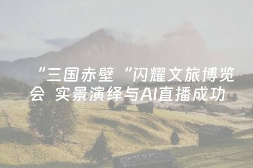 “三国赤壁“闪耀文旅博览会  实景演绎与AI直播成功“圈粉”