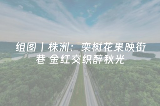 组图丨株洲：栾树花果映街巷 金红交织醉秋光