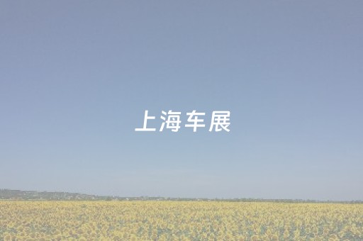 上海车展（上海车展事件真相）