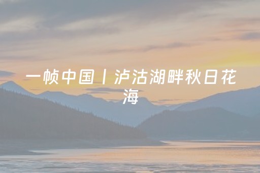 一帧中国丨泸沽湖畔秋日花海（2025年9月19日）