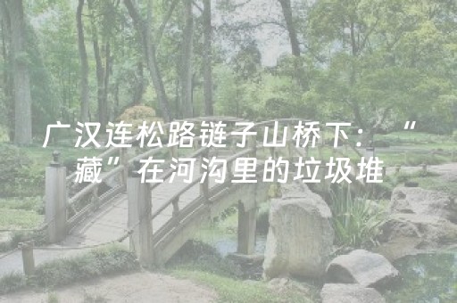 广汉连松路链子山桥下：“藏”在河沟里的垃圾堆