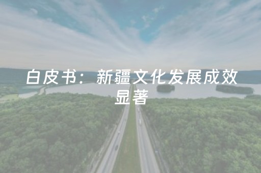 白皮书：新疆文化发展成效显著