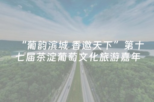 “葡韵滨城 香邀天下”第十七届茶淀葡萄文化旅游嘉年华启幕