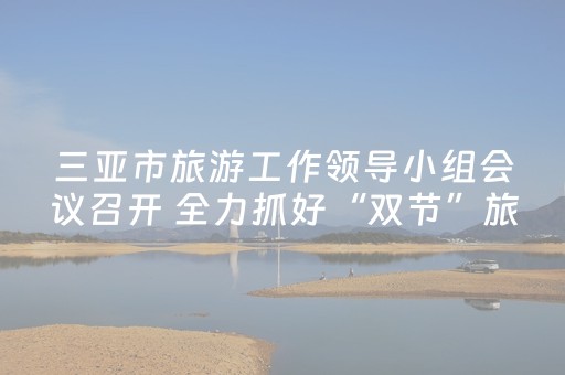 三亚市旅游工作领导小组会议召开 全力抓好“双节”旅游市场秩序 持续擦亮三亚旅游“金字招牌”