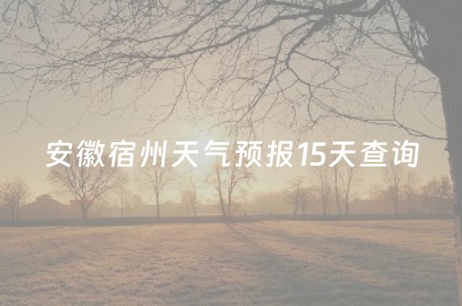 安徽宿州天气预报15天查询（安徽宿州天气预报15天查询表）