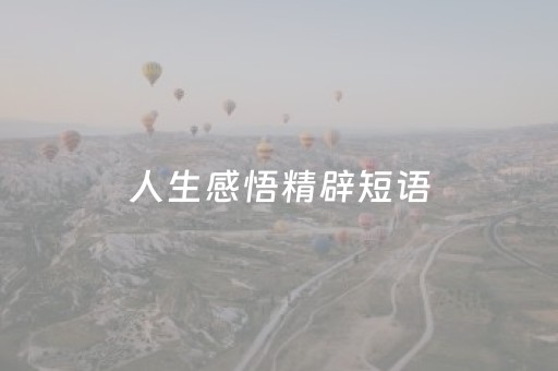 人生感悟精辟短语（人生感悟精辟短语句句穿透人心文案）