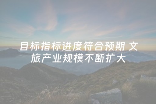 目标指标进度符合预期 文旅产业规模不断扩大