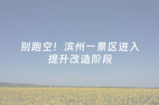 别跑空！滨州一景区进入提升改造阶段