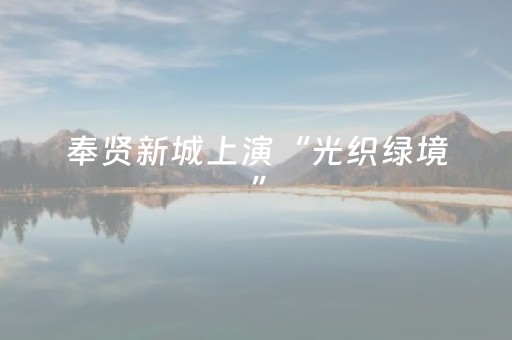 奉贤新城上演“光织绿境”，光影艺术点亮生态之夜