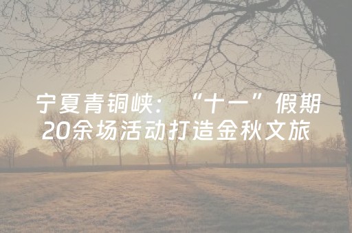 宁夏青铜峡：“十一”假期20余场活动打造金秋文旅盛宴