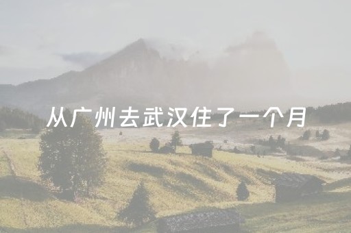 关于牂牁江景区老王山国庆、中秋节期间规范运营管理的公告