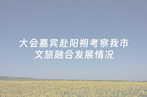 大会嘉宾赴阳朔考察我市文旅融合发展情况