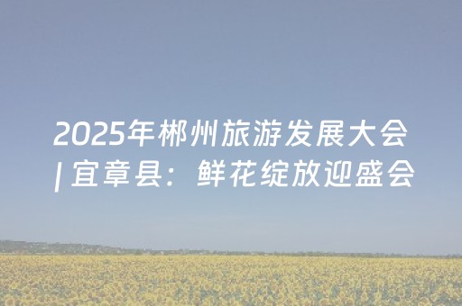 2025年郴州旅游发展大会 | 宜章县：鲜花绽放迎盛会