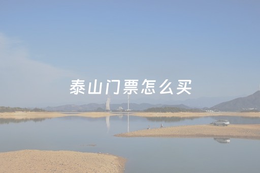 泰山门票怎么买（夜爬泰山门票怎么买）